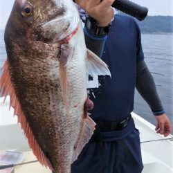 めだか屋 釣果