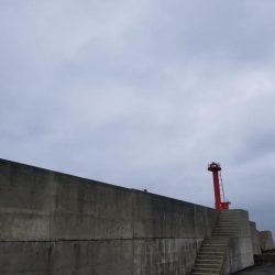 大雨の前の釣行