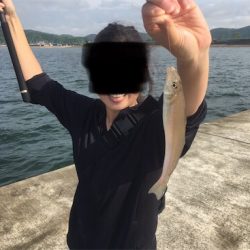 砂浜波止キス釣りへ→多魚種すぎるっ
