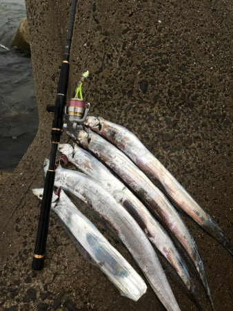 梅雨タチギリギリ