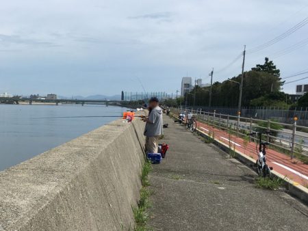 武庫川尻のサヨリ釣り開幕