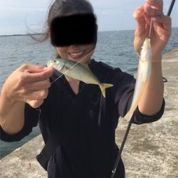 砂浜波止キス釣りへ→多魚種すぎるっ