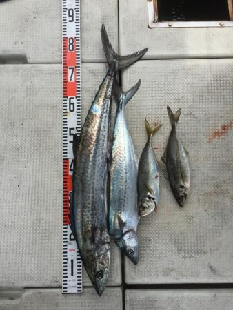 鬼アジ釣行