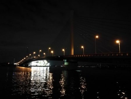 ヘチ釣行 南港カモメ大橋 （7/2 またまた雨のヘチ釣り～ 真チヌ48cm、キビレチヌ40cm 釣果有り）