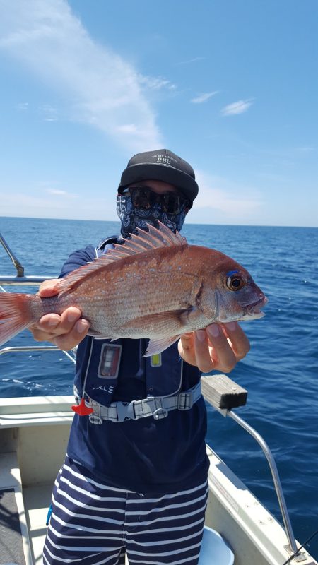 海峰 釣果