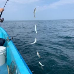 宝昌丸 釣果