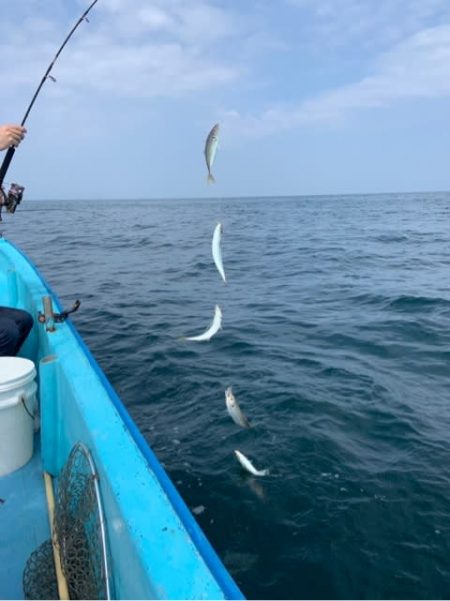 宝昌丸 釣果