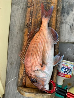 幸吉丸 釣果