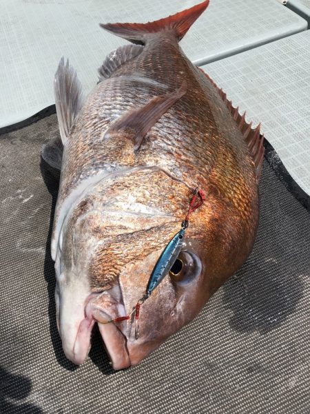 星隆丸 釣果