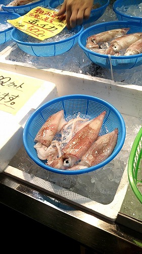 フィッシングボート空風（そらかぜ） 釣果