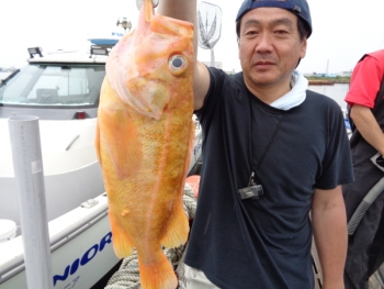 鯛紅丸 釣果