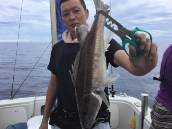 鯛紅丸 釣果