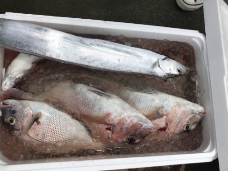 釣船 浦島太郎 釣果