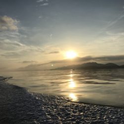 釣船 浦島太郎 釣果