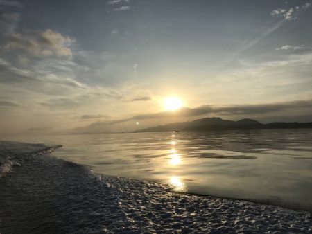 釣船 浦島太郎 釣果