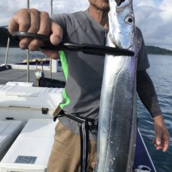 釣船 浦島太郎 釣果