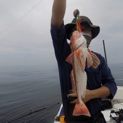 フィッシングボート空風（そらかぜ） 釣果