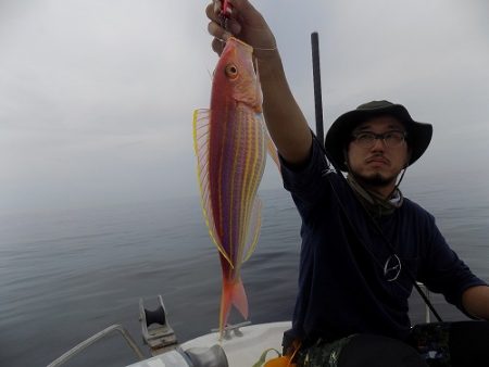 フィッシングボート空風（そらかぜ） 釣果