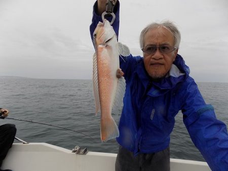 フィッシングボート空風（そらかぜ） 釣果