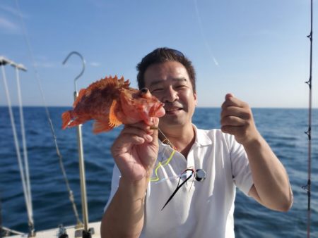 ブルーピア 釣果