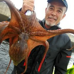 横内丸 釣果