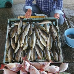 明神釣船 釣果