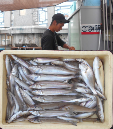 荒川屋 釣果