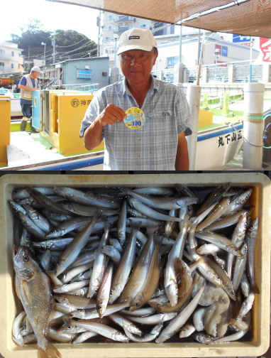 荒川屋 釣果