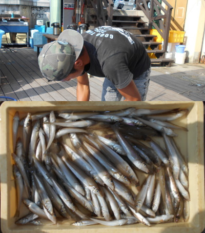 荒川屋 釣果