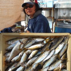 荒川屋 釣果