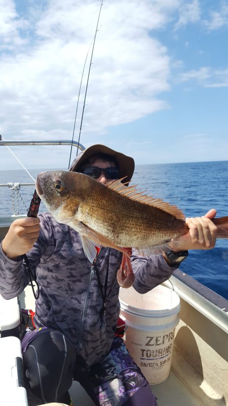 海峰 釣果