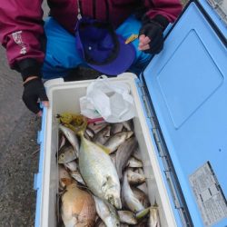 松栄丸 釣果