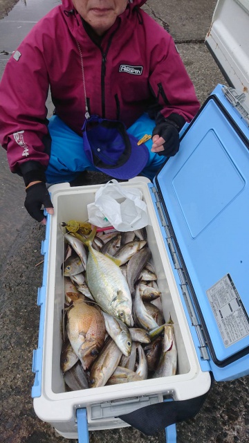 松栄丸 釣果