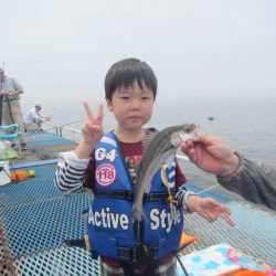 オリジナルメーカー海づり公園(市原市海づり施設) 釣果