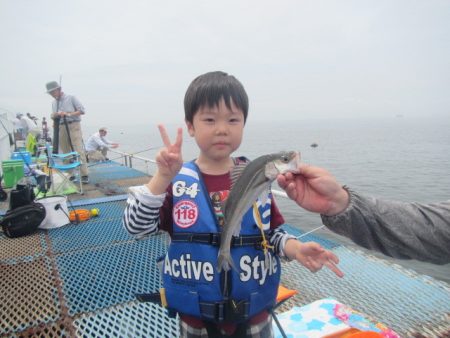 オリジナルメーカー海づり公園(市原市海づり施設) 釣果