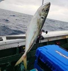 松福丸 釣果