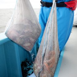 かもめ釣船 釣果