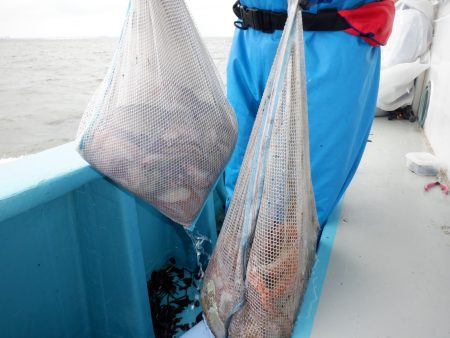 かもめ釣船 釣果