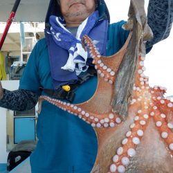 かもめ釣船 釣果