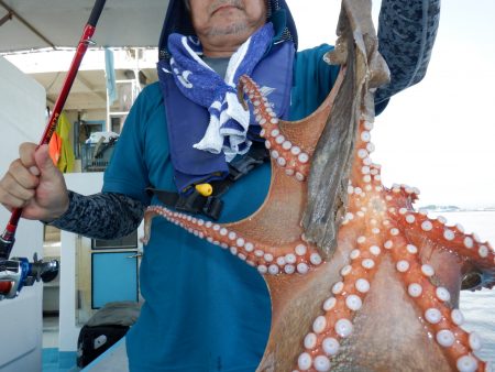 かもめ釣船 釣果