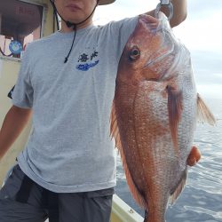 海峰 釣果