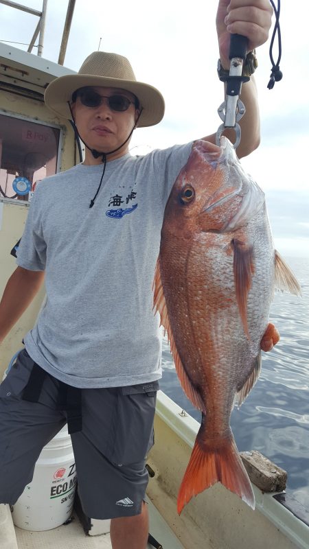 海峰 釣果