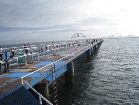 オリジナルメーカー海づり公園(市原市海づり施設) 釣果