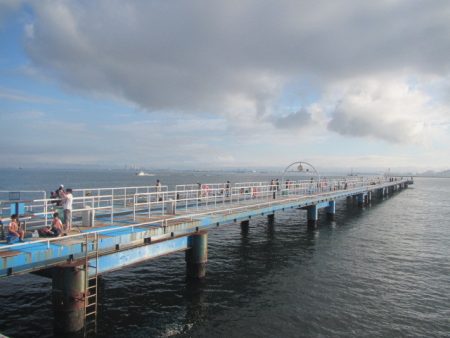 オリジナルメーカー海づり公園(市原市海づり施設) 釣果