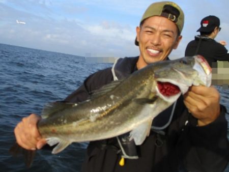 釣日和 釣果