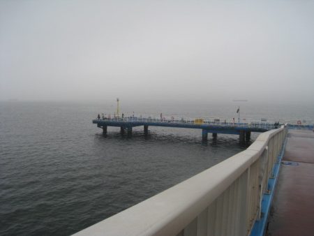 オリジナルメーカー海づり公園(市原市海づり施設) 釣果