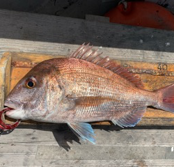 幸吉丸 釣果