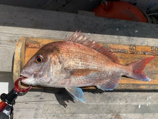 幸吉丸 釣果