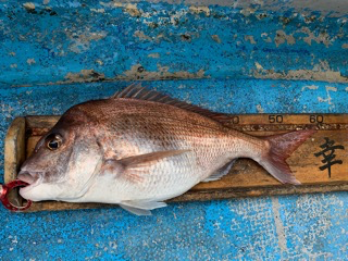 幸吉丸 釣果