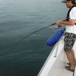 開進丸 釣果